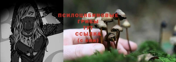 экстази Покачи