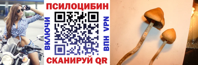 Галлюциногенные грибы мухоморы  Советск 