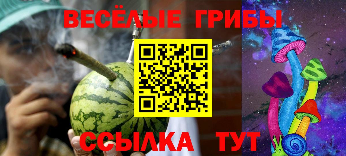 купить закладку  Галлюциногенные грибы MAGIC MUSHROOMS  Вход с VPN  Советск  Псилоцибиновые грибы Psilocybe 