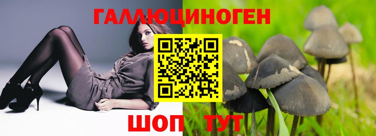 Галлюциногенные грибы Cubensis Советск